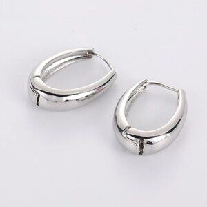 Silver Tone Drop Shape Earrings